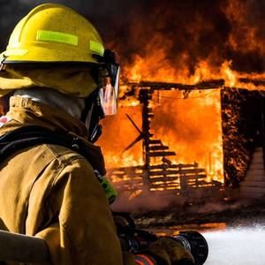 Meet your Posher, Cole